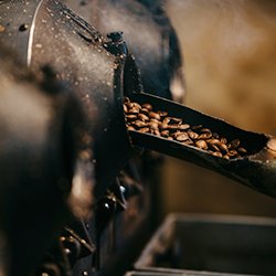 Go Cup Yourself Coffee - Best Monthly Coffee Subscription for Single Origin Coffees