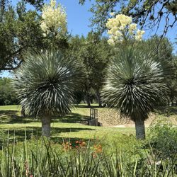 La Cantera Golf Club