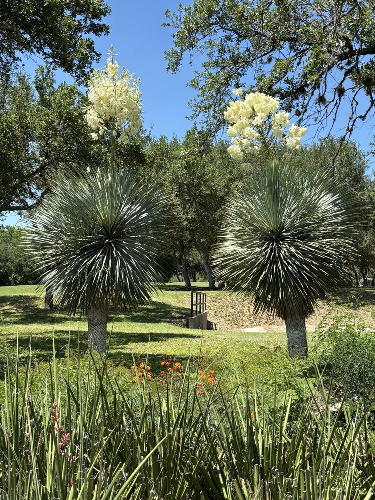 La Cantera Golf Club Logo