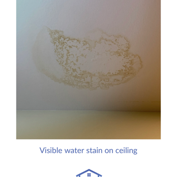 Air Quality Experts Mold Testing & Inspection - Home Inspectors Near Me - Boca Raton, Florida