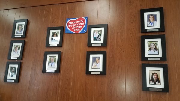 vca madera pet hospital