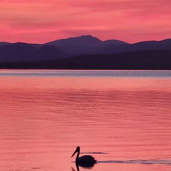 Pyramid Lake Paiute Tribe - The wildlife is abundant and the Sunsets magical at Pyramid Lake. - Lakes Near Me - Reno, Nevada Pyramid Lake Paiute Tribe - The wildlife is abundant and the Sunsets magical at Pyramid Lake. - Lakes Near Me - Reno, Nevada