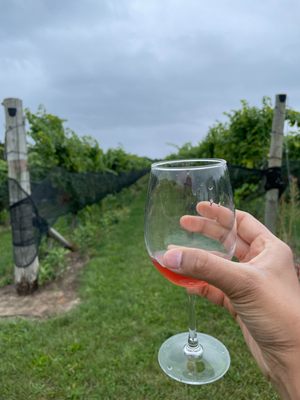 Brengman Family Wines by null