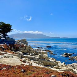 Coastal Ebike Connection - 17 mile drive