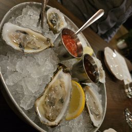 Oysters Oysters