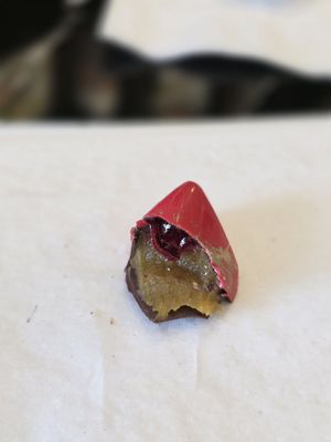 Cacao & Cardamom Chocolatier by null