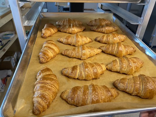 Pixie Boulangerie by null