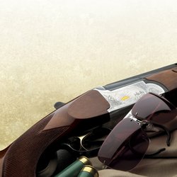 Morgan Optical Sport Glasses