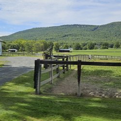 Robibero Family Vineyards