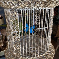 Carmine’s Design And Decor