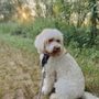 Photo of Kriser's Natural Pet