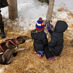 Monarch Dog Sled Rides - Kids meeting the dogs