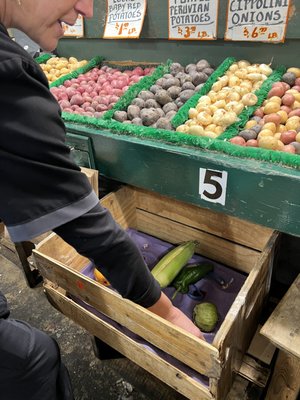Atrium Kitchen by null