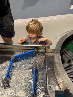 Michigan Science Center by null