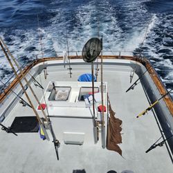 Stardust Sportfishing - Looking down from the sun deck