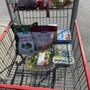 Photo of Costco Wholesale