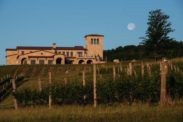 Mari Vineyards by null