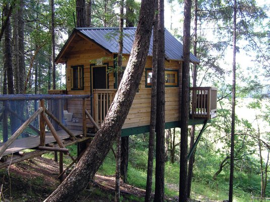 Vertical Horizons Treehouse Paradise by null