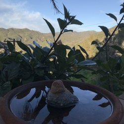 Topanga Canyon Inn Bed and Breakfast - Outside walkway - lots of hummingbirds