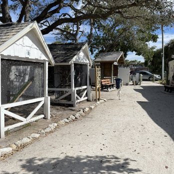 Seaside Seabird Sanctuary - Animal Shelters Near Me - Indian Shores, Florida Seaside Seabird Sanctuary - Animal Shelters Near Me - Indian Shores, Florida