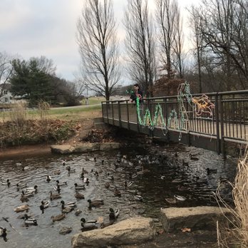 Brown Park - Feeding the ducks - Parks Near Me - Louisville, Kentucky
