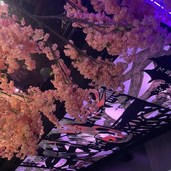 Ten Sushi - The bar - Sushi Bars Near Me - Houston, Texas