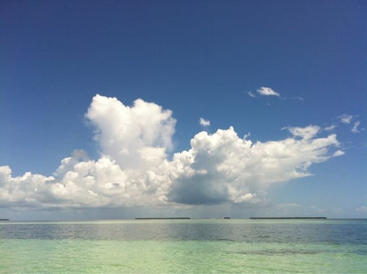 Gallery On Greene by null