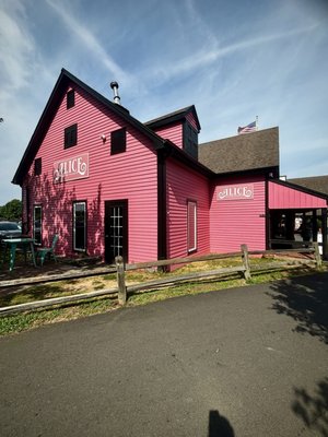 Alice in the Village by null