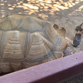 Wildlife Learning Center - Zoos Near Me - Sylmar, California