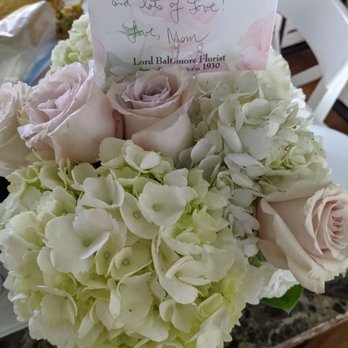 Lord Baltimore Florist - What looks like dying roses - Florists Near Me - Baltimore, Maryland Lord Baltimore Florist - What looks like dying roses - Florists Near Me - Baltimore, Maryland