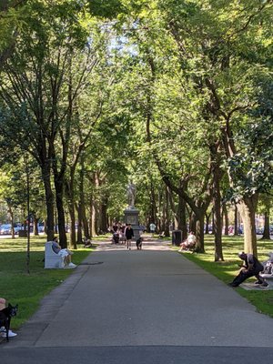 Commonwealth Avenue Mall by null