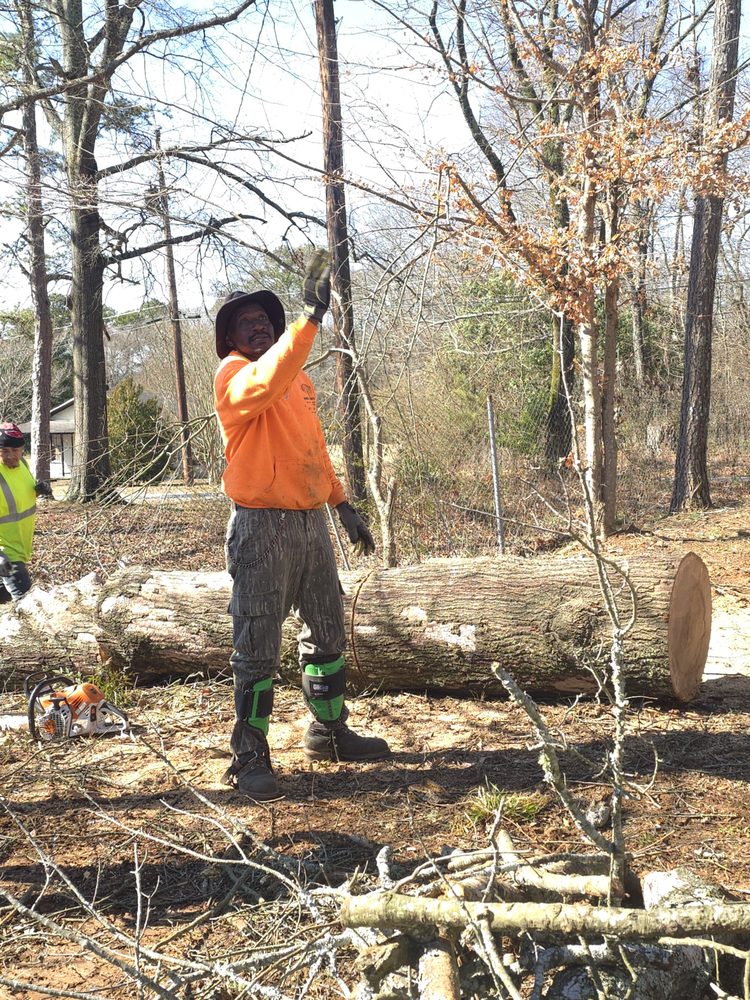 Slide of Pro Service Tree Service