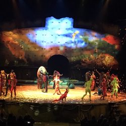 Cirque du Soleil OVO