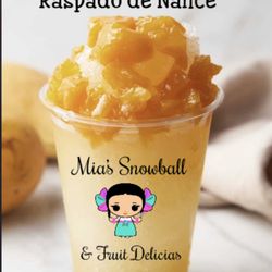 Mia’s Snowball & Fruit Delicias