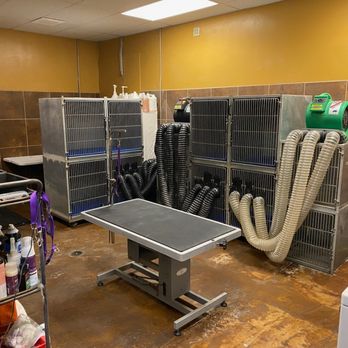 Hollywood Feed - Pet Stores Near Me - Oakland, Tennessee Hollywood Feed - Pet Stores Near Me - Oakland, Tennessee
