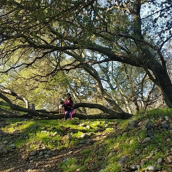 Bannister Park - Nice to take pictures - Parks Near Me - Fair Oaks, California