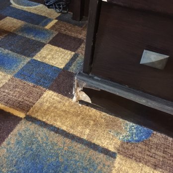Quality Inn & Suites - Hotels Near Me - Buda, Texas