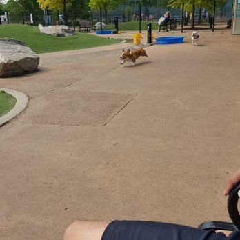 Patterson Dog Park - Dog Parks Near Me - Baltimore, Maryland