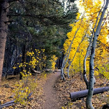 Parker Lake Trail - Hiking Near Me - June Lake, California