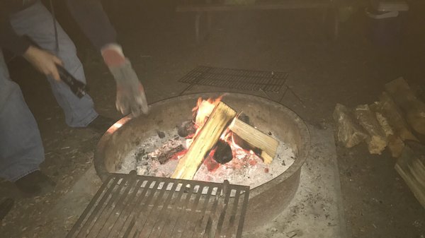 Blackwoods Campground by null