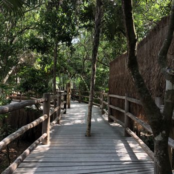 Papaya Playa Hotel - Walk to breakfast - Restaurants Near Me - Tulum, ROO Papaya Playa Hotel - Walk to breakfast - Restaurants Near Me - Tulum, ROO
