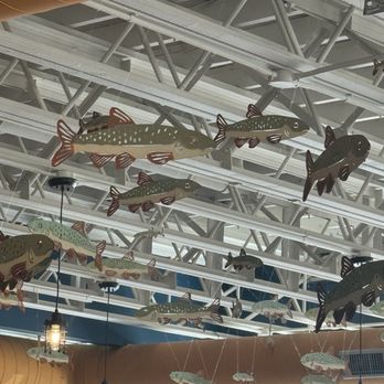 Coriander Kitchen & Farm - Ceiling with fish - Salad Near Me - Detroit, Michigan Coriander Kitchen & Farm - Ceiling with fish - Salad Near Me - Detroit, Michigan