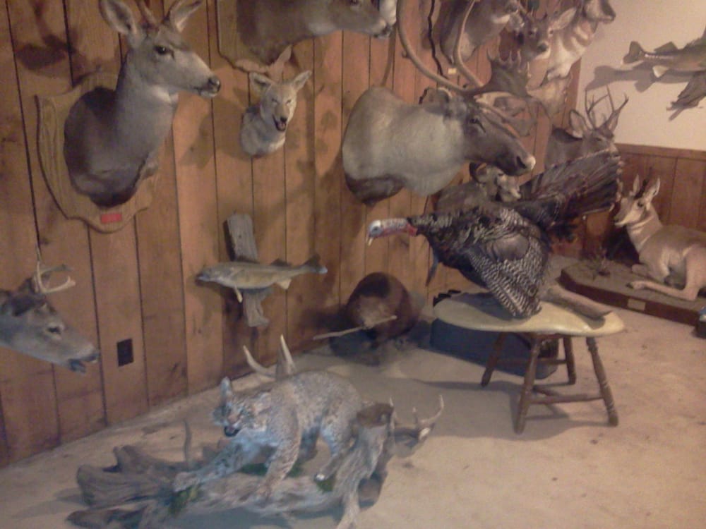 DEW RIVER TAXIDERMY 780 W Britton Rd, Burbank, OH Yelp