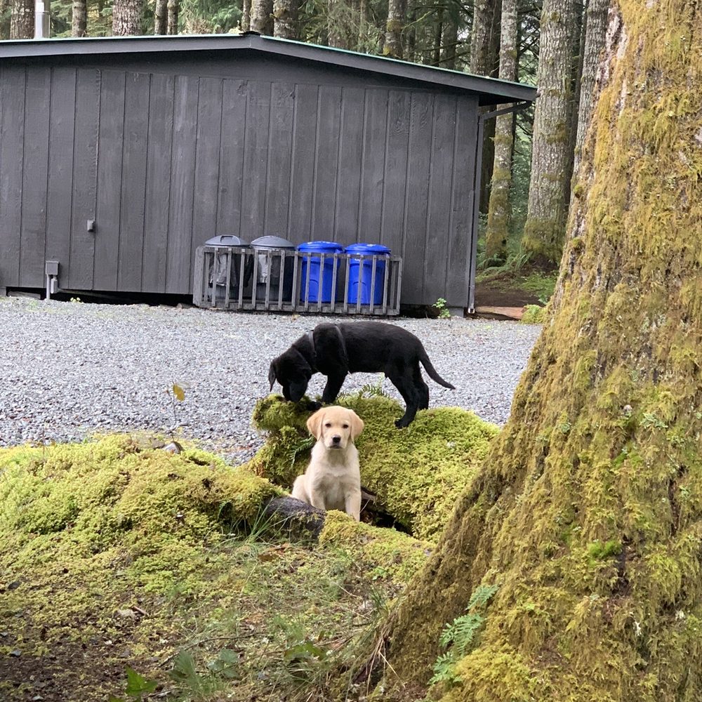 The Best 10 Campgrounds near Riffe Lake Campground in Mossyrock, WA Yelp