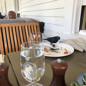 Cavallo Point - A new friend - Hotels Near Me - Sausalito, California Cavallo Point - A new friend - Hotels Near Me - Sausalito, California