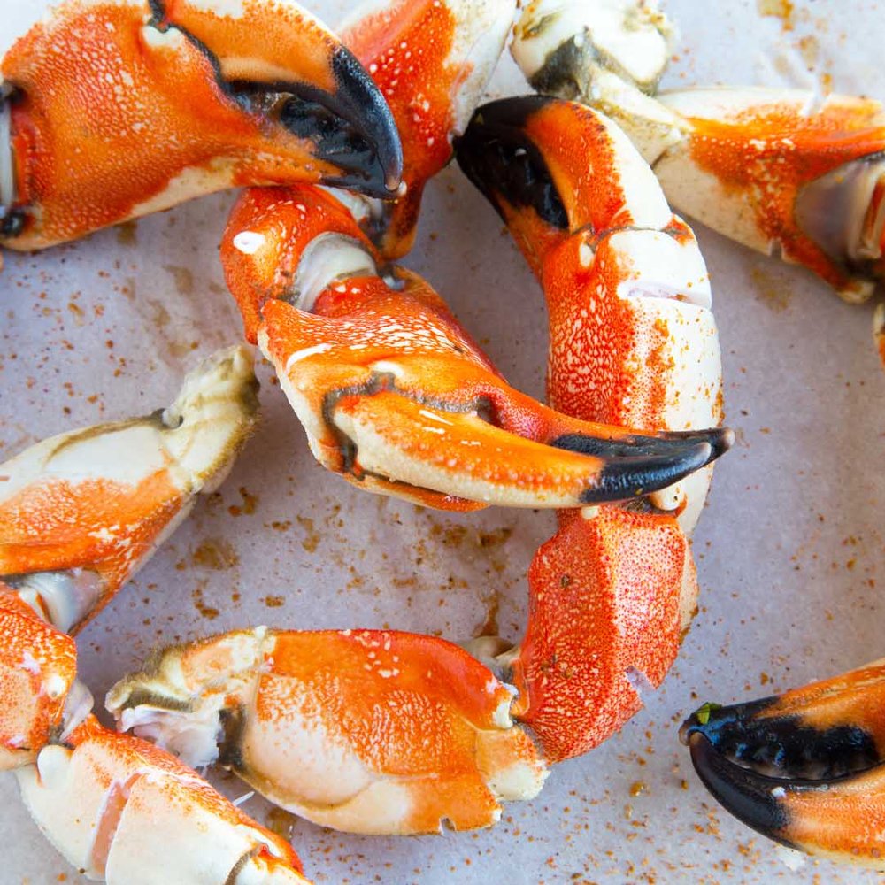 Top 10 Best Seafood Markets In Palm Harbor FL Last Updated July 2021 top-10-best-seafood-markets-in-palm-harbor-fl-last-updated-july-2021