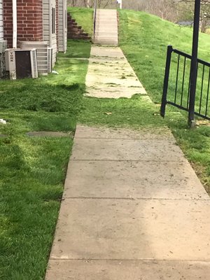 Vigliotti Landscaping and Construction