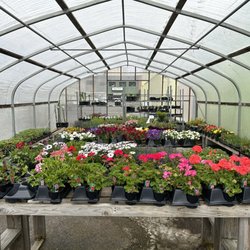 Marshall's Garden & Pet - Outdoor plant selection