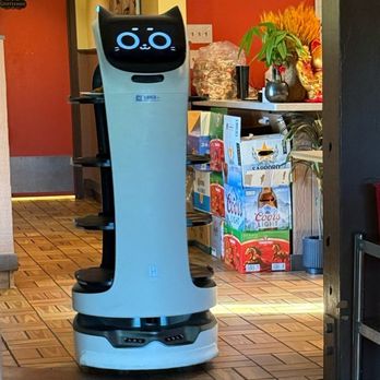 Dragon Express Chinese Kitchen - Robot gimmick server - Chinese Near Me - Medford, Oregon Dragon Express Chinese Kitchen - Robot gimmick server - Chinese Near Me - Medford, Oregon