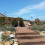 Photo of Sri Chinmoy Peace Garden